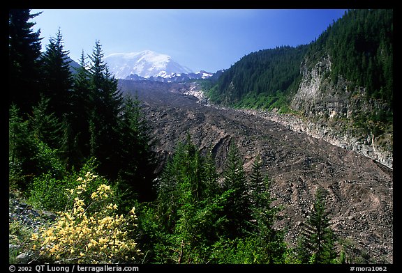 Mt Rainier above debris-covered Carbon Glacier. Mount Rainier National Park (color)