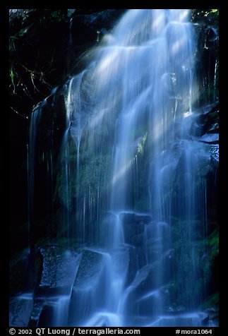 Waterfall in Carbon rainforest area. Mount Rainier National Park (color)
