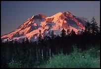 Mt Rainier at sunset from  South. Mount Rainier National Park, Washington, USA. (color)