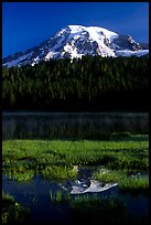 Mt Rainier reflected in Reflection lake, early morning. Mount Rainier National Park ( color)
