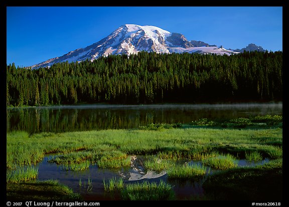 Reflection Lake and Mt Rainier, early morning. Mount Rainier National Park (color)