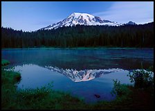 Mount Rainier reflected in lake at dawn. Mount Rainier National Park, Washington, USA.