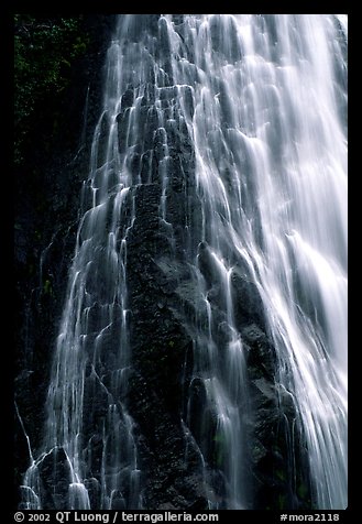 Narada falls. Mount Rainier National Park (color)