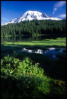 Mt Rainier and reflection, early morning. Mount Rainier National Park, Washington, USA. (color)