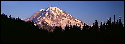 Mount Rainier above forest in silhouette. Mount Rainier National Park (Panoramic color)