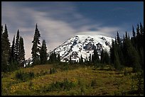 pictures of Mount Rainier National Park Night