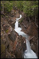Cascades, Van Trump Creek. Mount Rainier National Park, Washington, USA. (color)