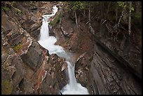 Van Trump Creek. Mount Rainier National Park, Washington, USA. (color)