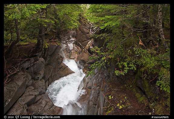 Water rushes down Van Trump Creek. Mount Rainier National Park, Washington, USA.