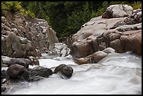 Water flowing down gorge. Mount Rainier National Park, Washington, USA.