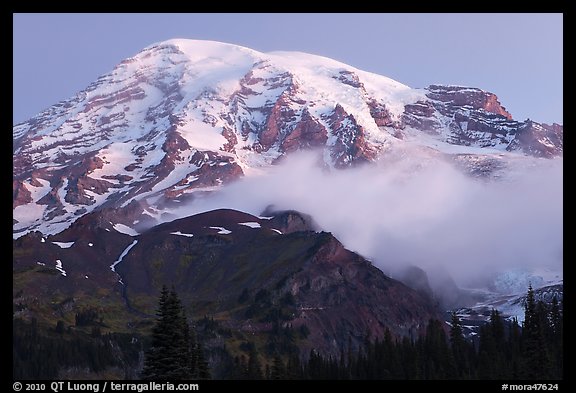 Mount Rainier and fog at dawn. Mount Rainier National Park (color)