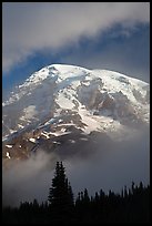 Mountain emerging from clouds. Mount Rainier National Park ( color)