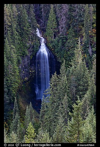 Martha Falls. Mount Rainier National Park (color)