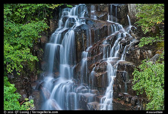 Waterfall over volcanic rock, Stevens Canyon. Mount Rainier National Park (color)