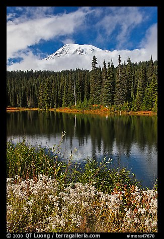 Mount Rainier and clouds seen from reflection lakes. Mount Rainier National Park (color)