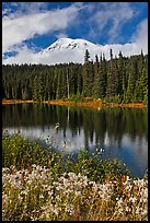 Mount Rainier and clouds seen from reflection lakes. Mount Rainier National Park ( color)