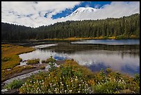 Mount Rainier from Reflection lakes in autumn. Mount Rainier National Park ( color)