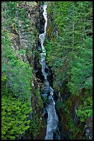 Canyon of the Muddy Fork of Cowlitz River. Mount Rainier National Park ( color)