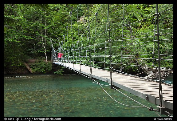 Suspension footbridge over Ohanapecosh River. Mount Rainier National Park, Washington, USA.