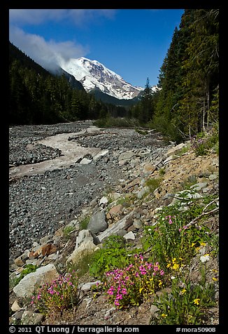 White River creek and Mt Rainier. Mount Rainier National Park (color)