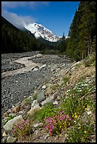 White River creek and Mt Rainier. Mount Rainier National Park ( color)