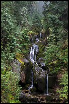 Multi-tiered waterfall in old-growth forest. Mount Rainier National Park ( color)