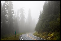 Road in fog. Mount Rainier National Park ( color)
