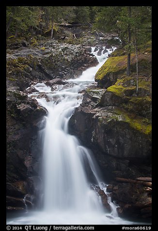 Silver Falls. Mount Rainier National Park (color)