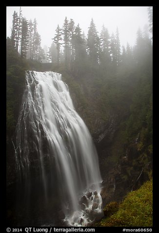 Narada Falls in the fog. Mount Rainier National Park (color)