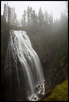 Narada Falls in the fog. Mount Rainier National Park ( color)