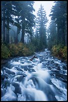 Stream on its way to Narada Falls. Mount Rainier National Park ( color)