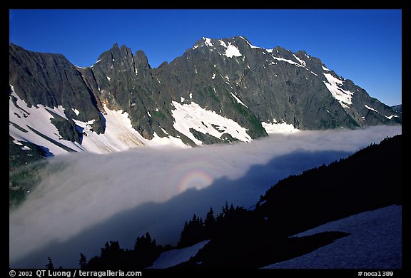 Sun projected on fog below peaks, early morning, Cascade Pass area, North Cascades National Park.  (color)