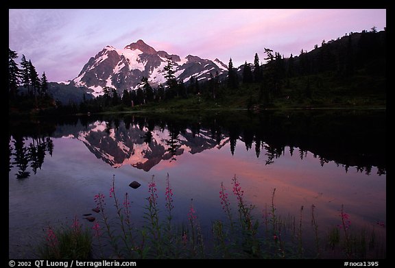 Mount Shuksan and Picture lake, sunset,  North Cascades National Park.  (color)