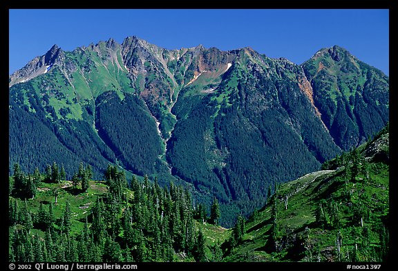 Steep forested peaks, North Cascades National Park.  (color)