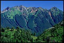 Steep forested peaks, North Cascades National Park.  ( color)
