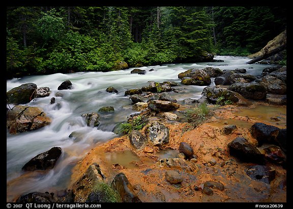 Creek near Kennedy hot springs. North Cascades National Park (color)