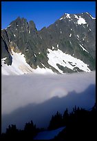 Peaks above fog-filled Cascade River Valley, early morning, North Cascades National Park.  ( color)