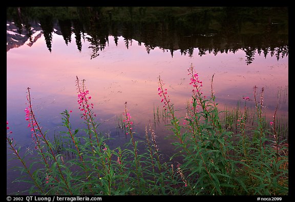 Reflections in Picture lake, sunset,  North Cascades National Park.  (color)