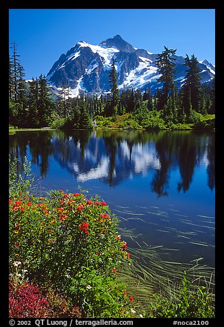 Mount Shuksan and Picture lake, mid-day, North Cascades National Park.  (color)