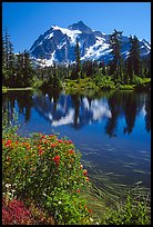 Mount Shuksan and Picture lake, mid-day, North Cascades National Park.  ( color)
