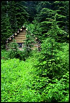 Log cabin, Mt. Baker/Snoqualmie National forest. Washington (color)