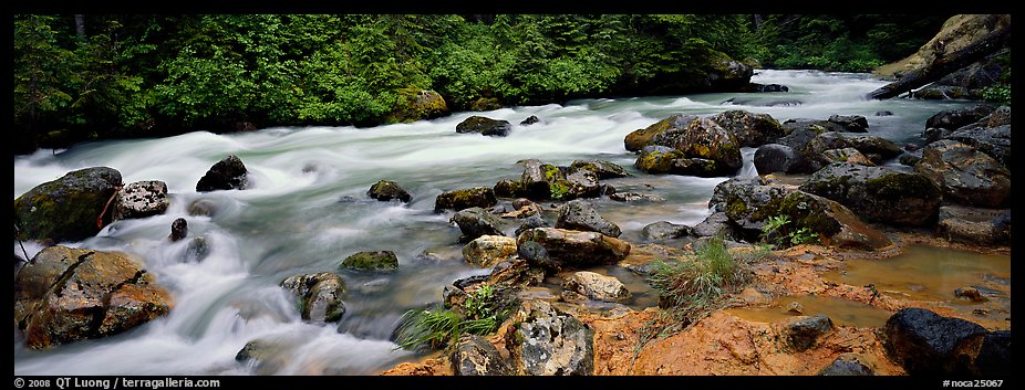 Stream in forest with colored mud, Mt. Baker/Snoqualmie National forest. Washington (color)