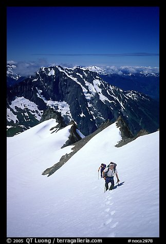 Ascending Sahale Peak,  North Cascades National Park. Washington, USA.