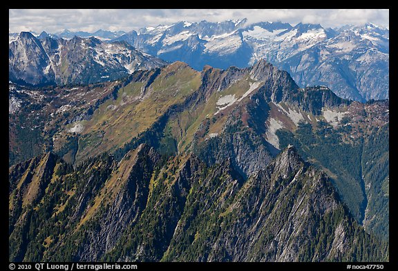 View towards the Pickets, North Cascades National Park.  (color)
