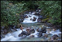 Sibley Creek, Mount Baker Snoqualmie National Forest. Washington (color)