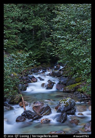 Creek cascading over boulders, Mount Baker Snoqualmie National Forest. Washington