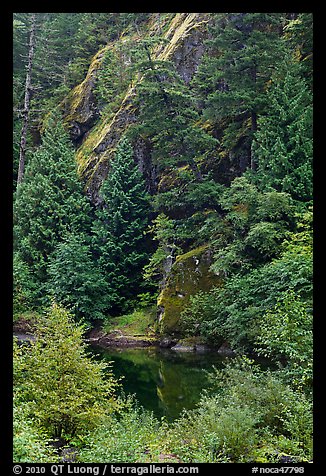Skagit River gorge, North Cascades National Park Service Complex.  (color)