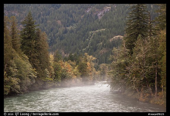 Fog rising from the Skagit River, North Cascades National Park Service Complex.  (color)
