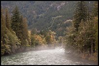Fog rising from the Skagit River, North Cascades National Park Service Complex.  ( color)