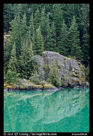 Trees and boulders reflected in Gorge Lake, North Cascades National Park Service Complex. Washington, USA.